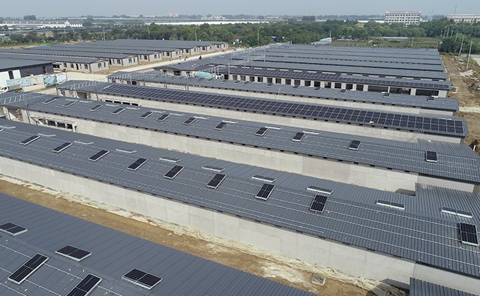 A Project of Complementary Power Generation Between Photovoltaic Systems and Generator Sets in a Small-Scale Fish Farm