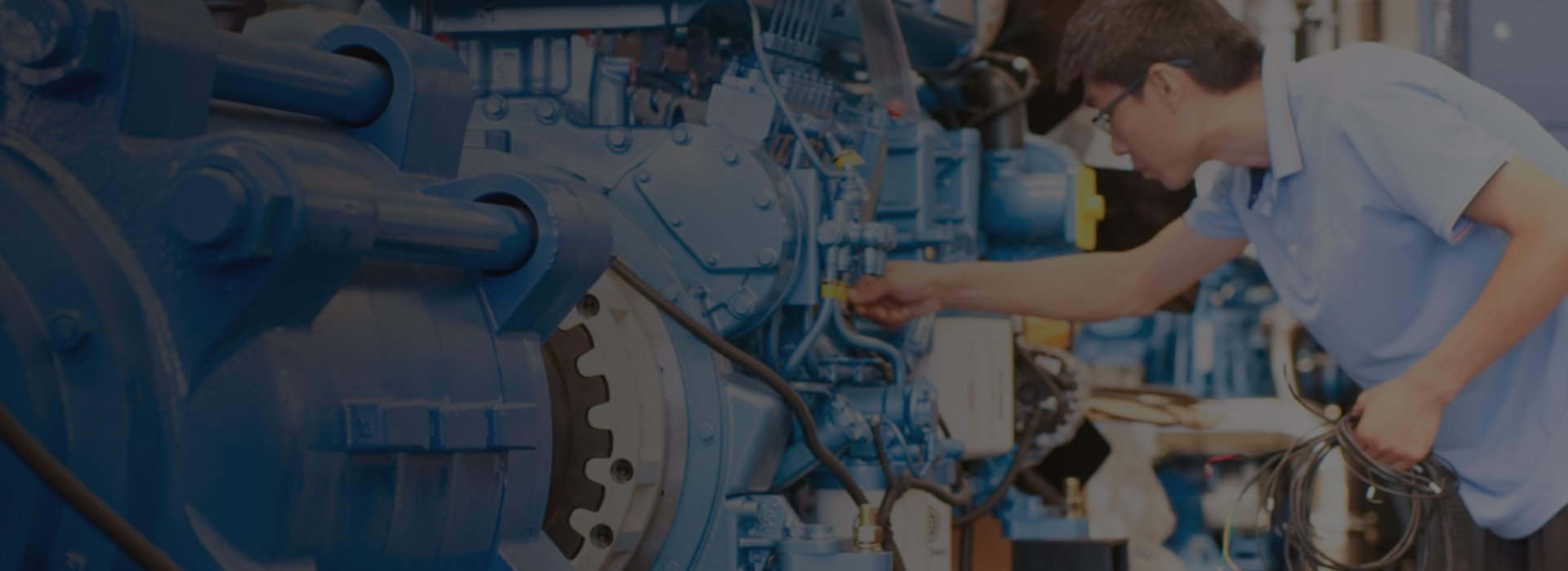 Diesel Generator Set