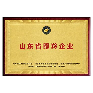 Gazelle Enterprise (Generator Manufacturing Industry)