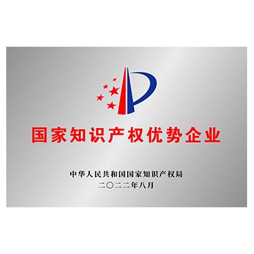National Intellectual Property Advantage Enterprise