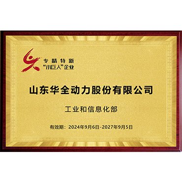 National Little Giant Enterprise (Specialized, Refined, Unique, and New)