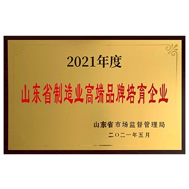 Shandong Province High-End Manufacturing Brand Cultivation Enterprise