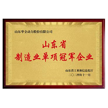 Shandong Province Manufacturing Industry Single Champion Enterprise
