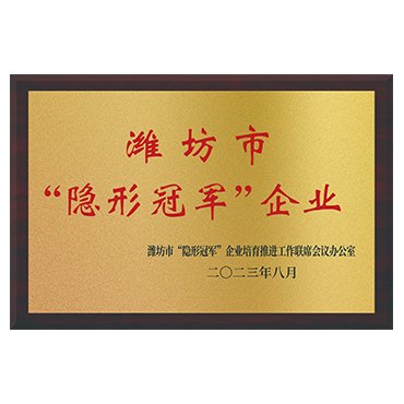 Weifang Hidden Champion Enterprise