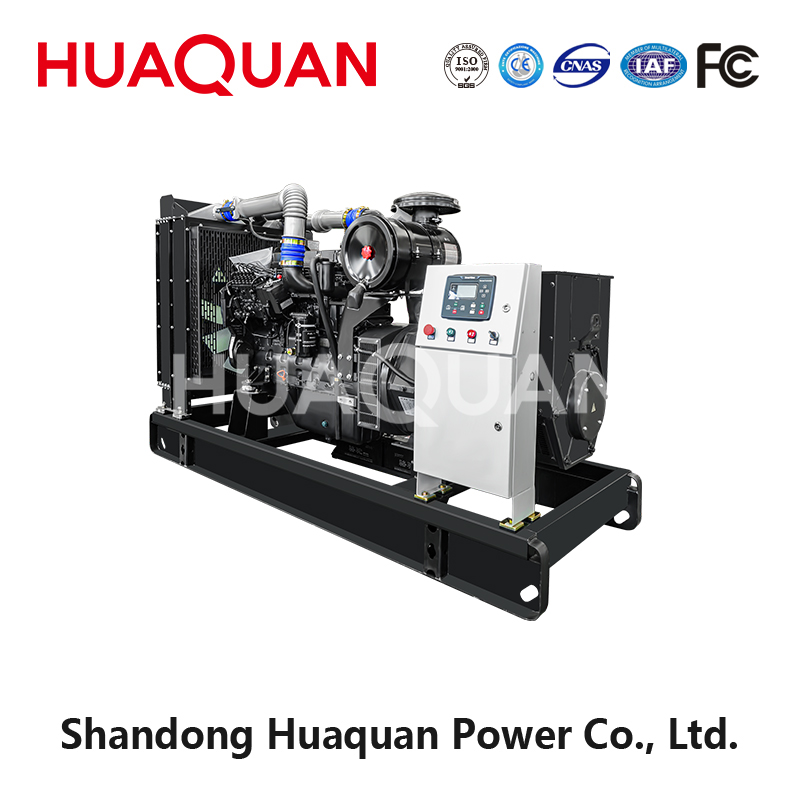 250kW Weifang diesel generator set-5