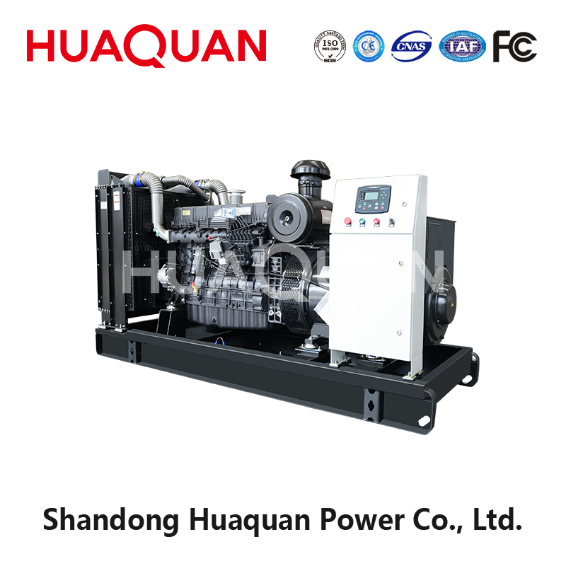 300kW Weifang diesel generator set-4