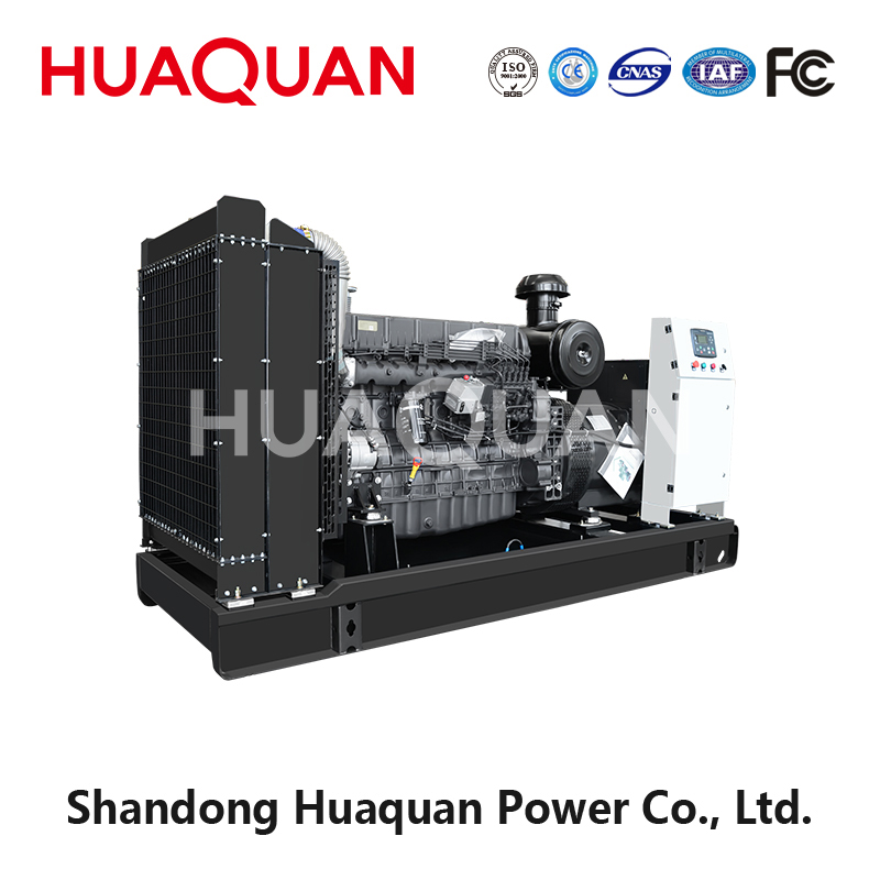 300kW Weifang diesel generator set-5