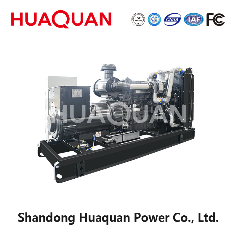 300kW Weifang diesel generator set-3