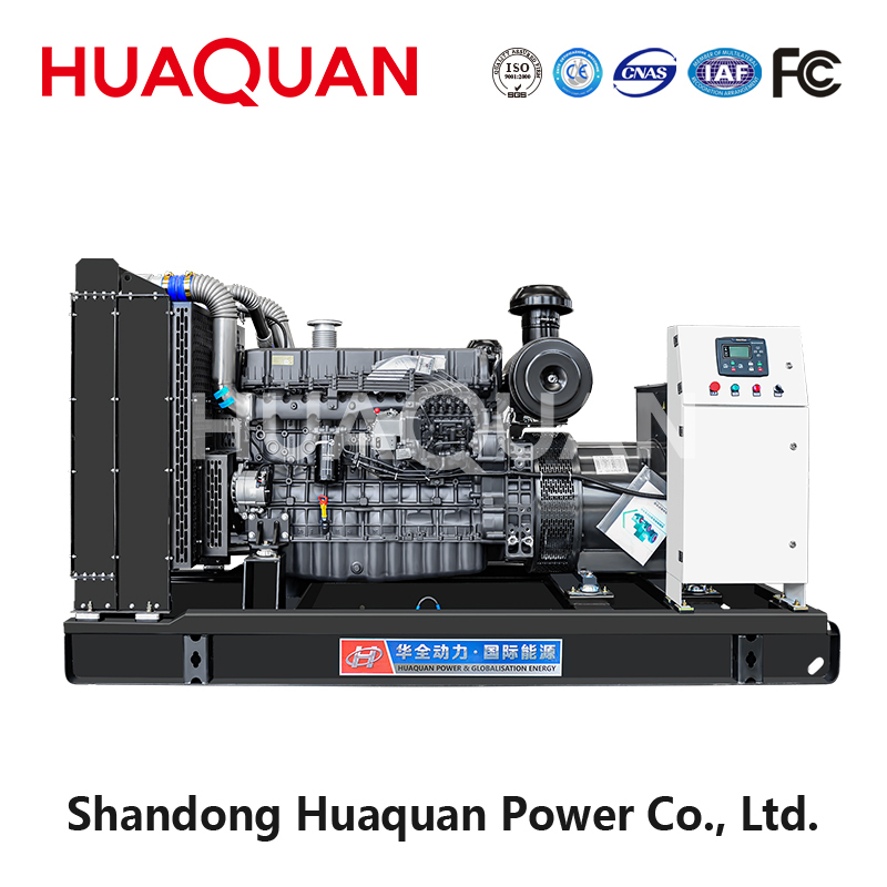 300kW Weifang diesel generator set-6