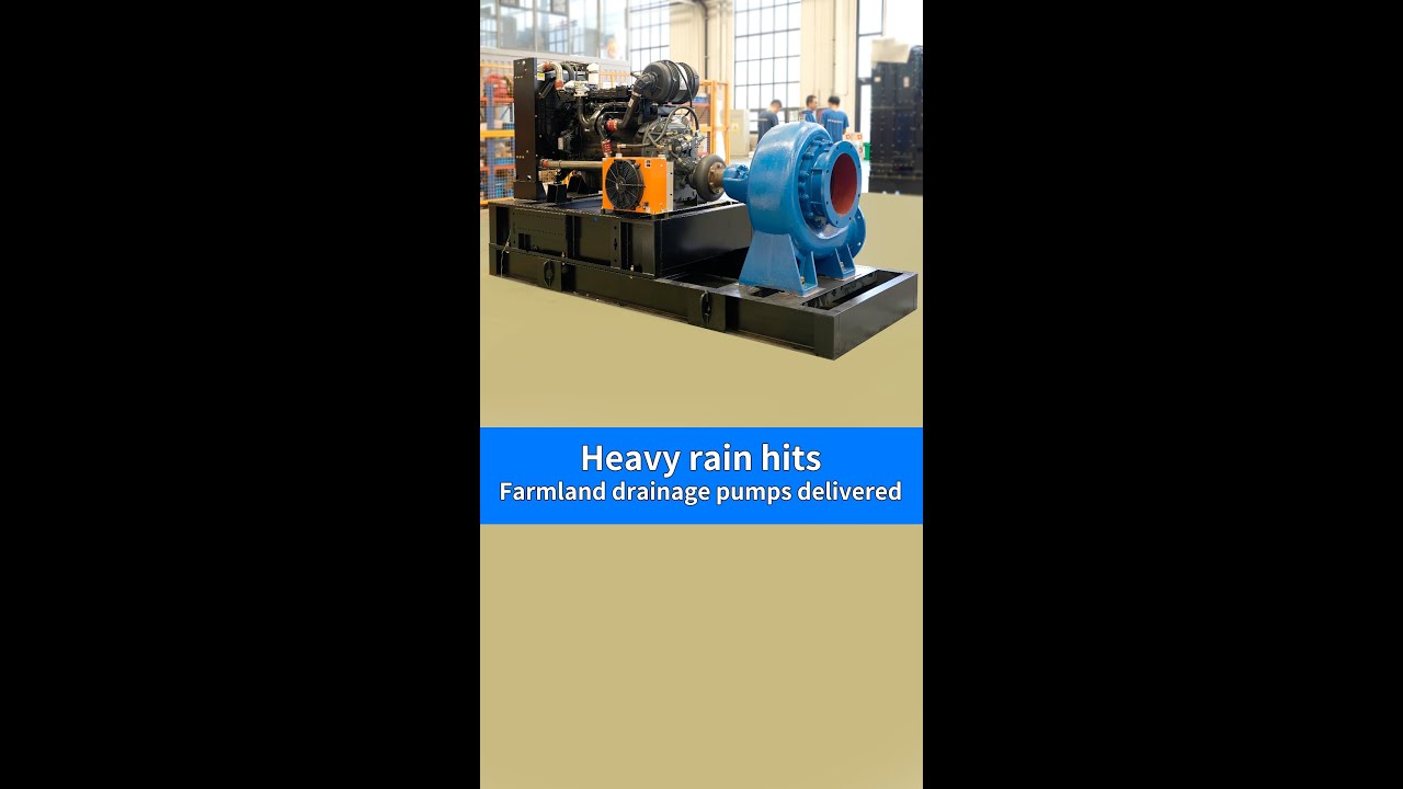 Due to the sudden heavy rain, farmland drainage pumps were delivered overnight.#waterpump
